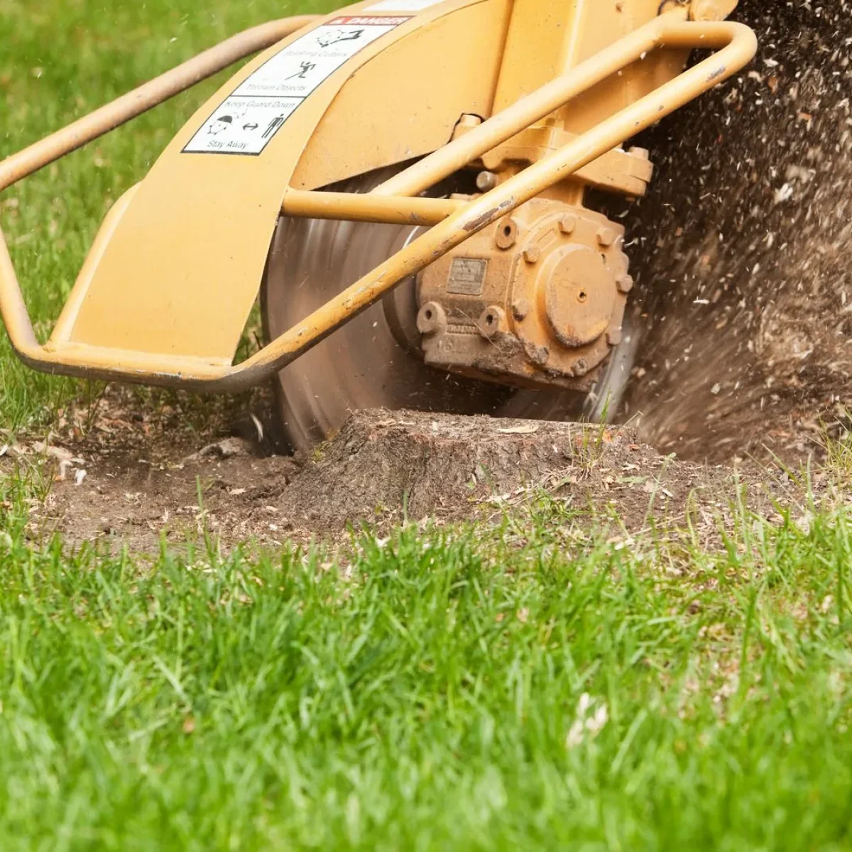 Stump Grinding & Removal 4 Stump Grinding & Removal 4