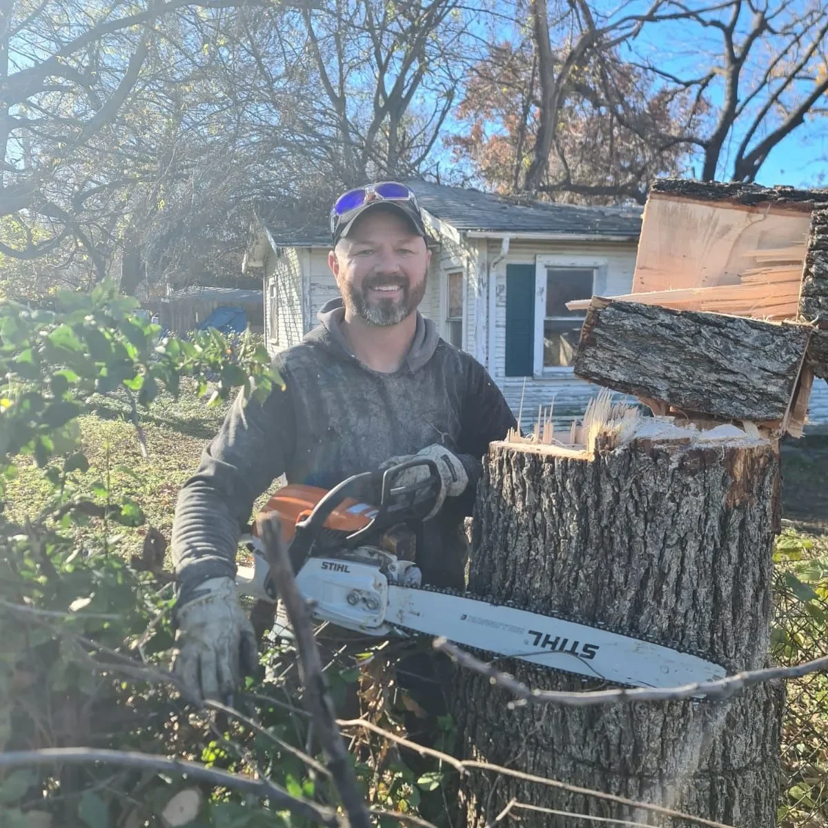 Tree Services 1 Tree Services 1